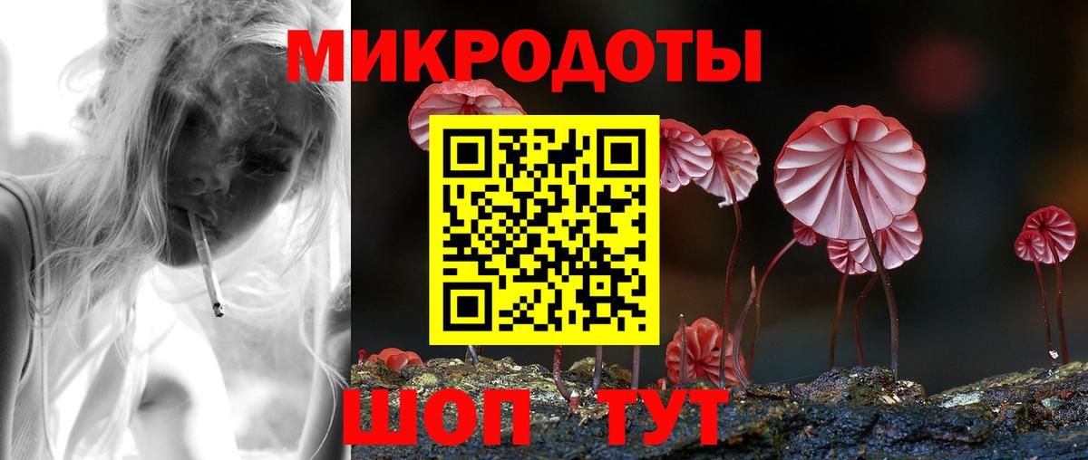 Галлюциногенные грибы Psilocybe Лениногорск