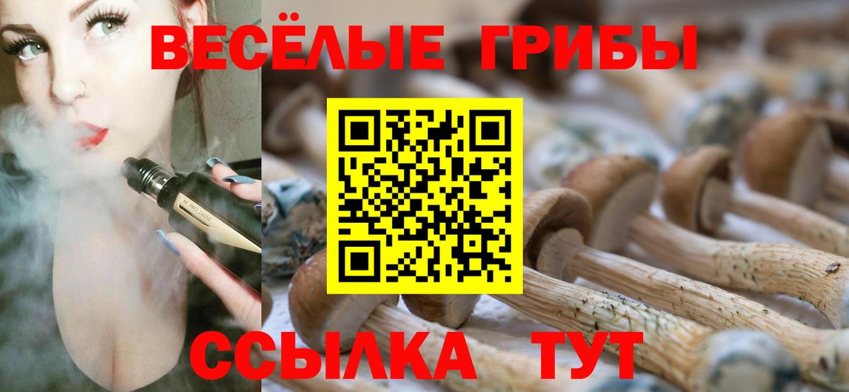 Лениногорск  Галлюциногенные грибы Psilocybine cubensis  Вход с VPN  Псилоцибиновые грибы Psilocybe 